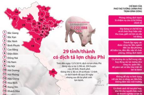 29 tỉnh/thành có dịch tả lợn châu Phi