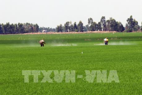 Tiền Giang đảm bảo nước tưới tiêu cho lúa Hè Thu