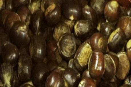 Cục QLTT Lào Cai điều tra nguồn gốc hơn 440 tấn hạt dẻ