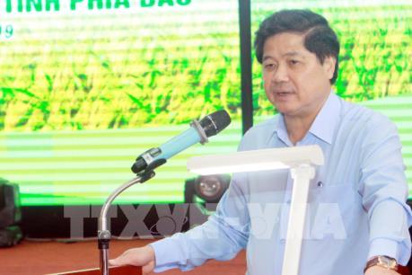 Vụ Đông Xuân phía Bắc: Sản lượng ước đạt trên 7,2 triệu tấn