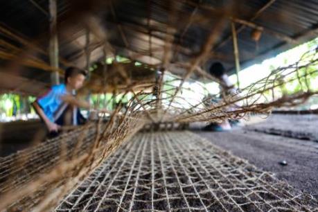 Nghề dệt thảm xơ dừa trên quê hương ”Đồng Khởi”