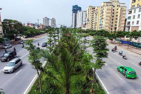Hà Nội xén vỉa hè, dự kiến di dời gần 2.000 cây xanh