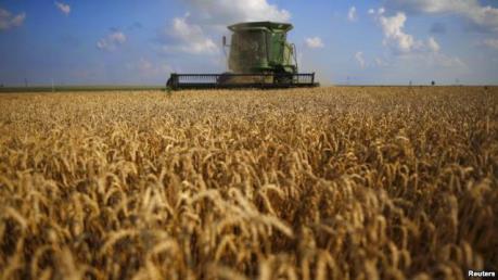 Nông nghiệp châu Âu đang bị đe dọa