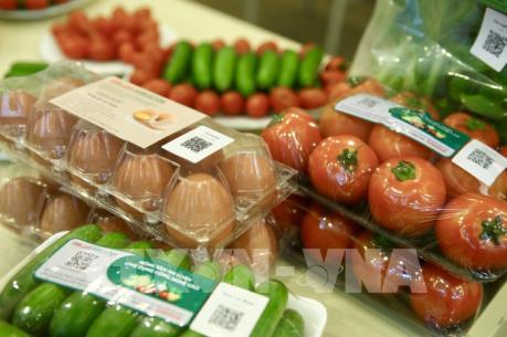 Doanh nghiệp dự báo tình hình sản xuất kinh doanh quý II 