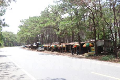 Gia Lai cấp hàng chục Giấy chứng nhận quyền sử dụng đất trên đất lâm nghiệp