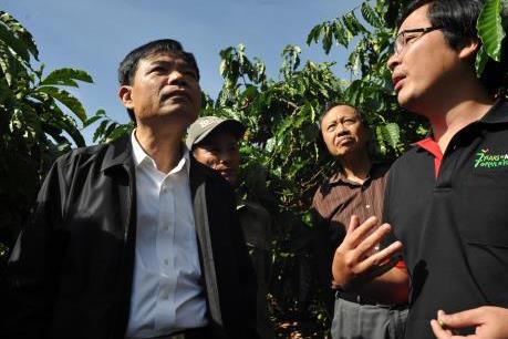 Nestlé Việt Nam thu mua 20-25% tổng sản lượng cà phê của Việt Nam