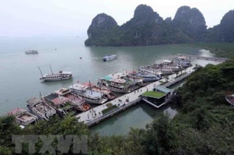 Hạ Long công bố đường dây nóng phản ảnh hành vi gây ô nhiễm môi trường