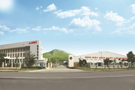 DRC chốt quyền cổ tức 6% bằng tiền