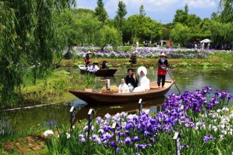 Những lễ hội độc đáo trong mùa hè ở Ibaraki, Nhật Bản