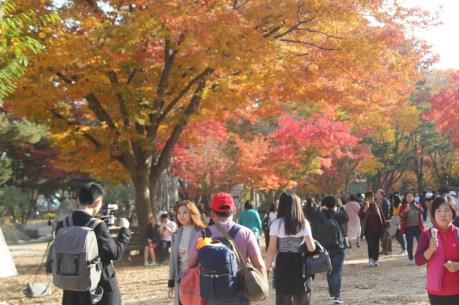 Phạt tiền tới 90 triệu đồng nếu để khách du lịch trốn ở lại nước ngoài