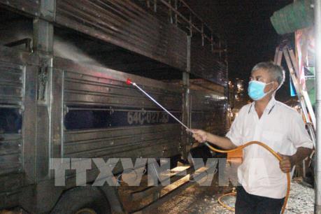 Ứng phó dịch tả lợn châu Phi xâm nhiễm Tp. Hồ Chí Minh