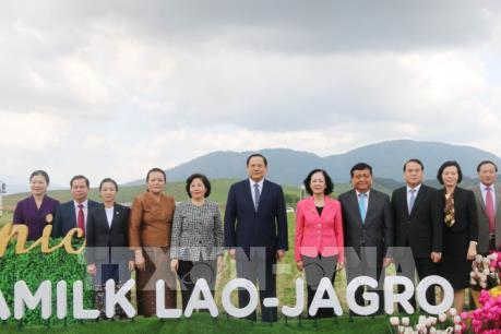 Khởi công xây dựng tổ hợp "Resort" bò sữa Organic quy mô 5.000ha tại Lào 