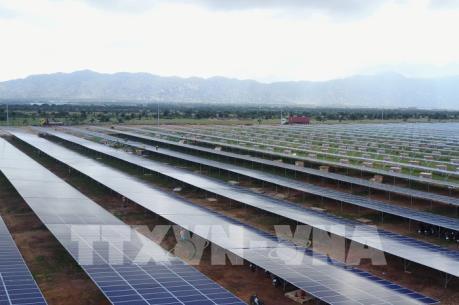 Đưa Ninh Thuận trở thành trung tâm năng lượng tái tạo quốc gia