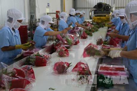 Khoa học công nghệ dẫn đầu vốn đầu tư của Việt Nam ra nước ngoài 