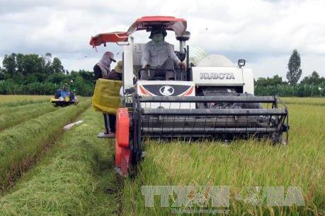 Chính phủ ra Nghị quyết thúc đẩy doanh nghiệp đầu tư vào nông nghiệp