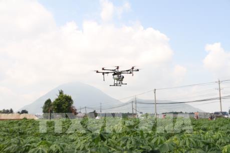 Tây Ninh trình diễn máy bay không người lái phun thuốc cây trồng