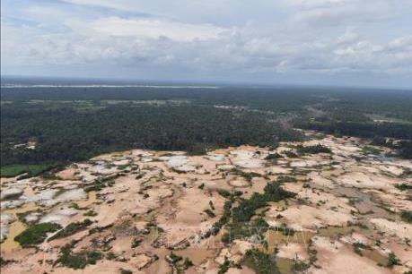 Brazil mất 953.000 ha rừng phòng hộ trong 3 thập kỷ qua