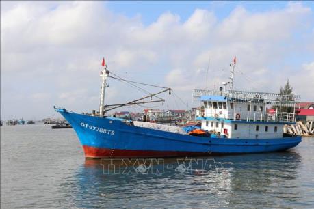 Chống khai thác trái phép: Bến Tre kiểm soát tàu cá xuất nhập bến