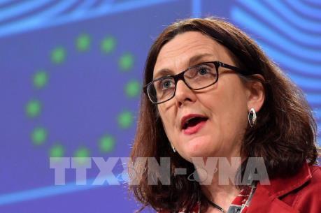 Đàm phán thương mại Mỹ và EU đã đạt được tiến triển