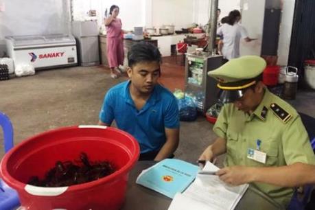 Quảng Ninh xử phạt 2 cửa hàng vi phạm kinh doanh tôm càng đỏ