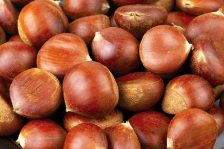 440 tấn hạt dẻ đang tạm giữ tại Lào Cai có nguồn gốc từ đâu?