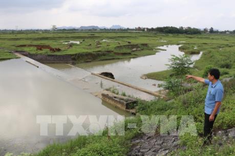 Xác lợn vứt ra môi trường: Một Chủ tịch xã bị kiểm điểm