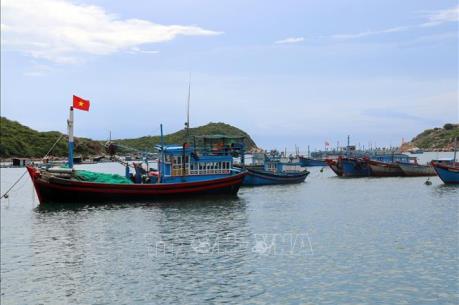 Cảng vừa nạo vét nhưng tàu thuyền vẫn mắc cạn