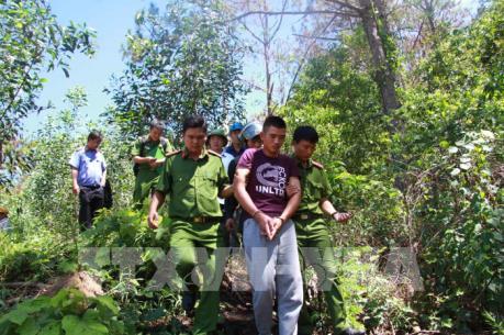 Thực nghiệm hiện trường vụ hủy hoại trên 10 ha rừng thông ở Lâm Đồng