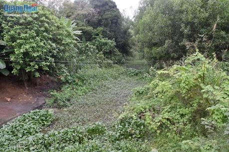 Dân đổ đất lấp kênh phản đối Khu công nghiệp xả thải gây ô nhiễm