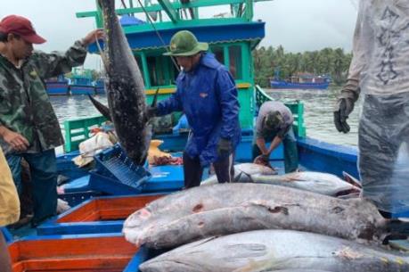 Hoài Nhơn tạo đột phá trong xây dựng nông thôn mới