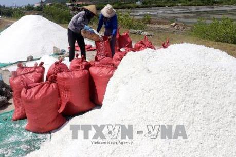 Diêm dân Thanh Hóa bỏ hoang ruộng muối để tìm việc khác mưu sinh