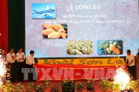 Khai mạc ngày hội xoài và công bố nhãn hiệu chứng nhận chuối Yên Châu
