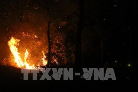 Canada: Cháy rừng tiếp tục trầm trọng