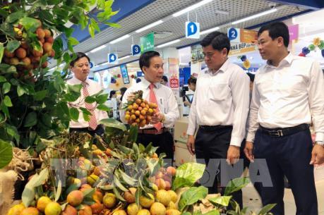 Đưa vải thiều Lục Ngạn vào hệ thống phân phối miền Nam