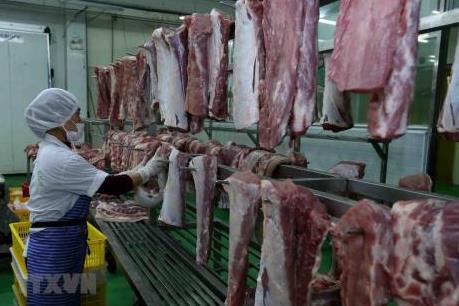 Kiểm soát chặt hoạt động các cơ sở giết mổ để phòng dịch tả lợn châu Phi