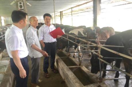 Hướng nông dân đến sản xuất lớn