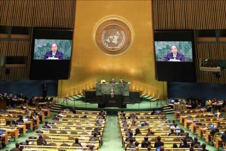 Đại diện Nhật Bản tại LHQ tin tưởng Việt Nam sẽ có đóng góp tốt cho HĐBA