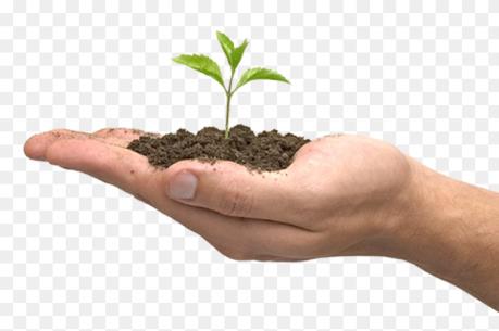 Canada chi hơn 11 triệu USD xây dựng di sản thiên nhiên từ cây xanh