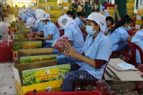 Nhân rộng các điểm bán hàng Việt phục vụ người tiêu dùng