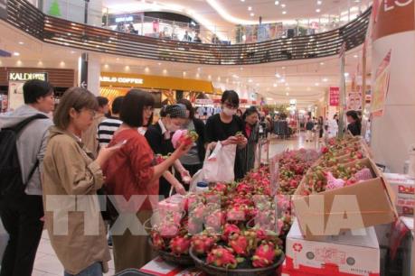 Đang diễn ra Tuần hàng Việt Nam - Hà Nội ở Nhật Bản