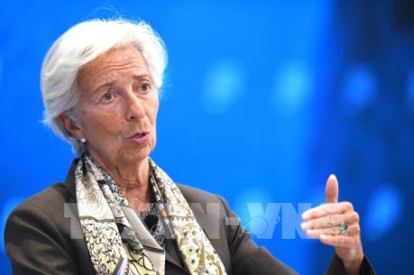 IMF: Loại bỏ thuế quan hiện tại và tránh áp đặt thuế quan mới