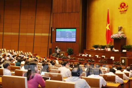 Quốc hội thông qua Nghị quyết về Chương trình giám sát của Quốc hội năm 2020