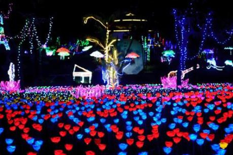 Đến FLC Zoo Safari Park chiêm ngưỡng Lễ hội ánh sáng 2019 mùa hè này