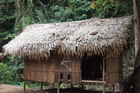 Malaysia điều tra căn bệnh lạ khiến nhiều người tử vong