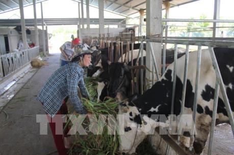 Bến Tre chuyển đổi sản xuất gắn với thích ứng biến đổi khí hậu