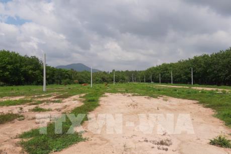 Tháo dỡ, khôi phục lại đất nông nghiệp bị phân lô trái phép