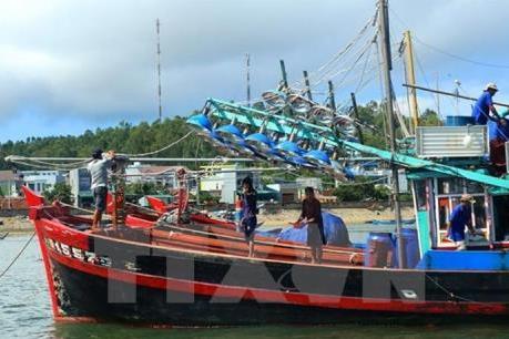 Bất cập khi triển khai Nghị định 67, chủ tàu "kiệt sức" để chuyển đổi nghề