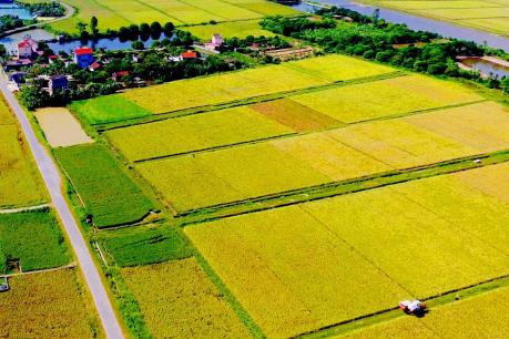 Chuyển mục đích sử dụng đất tại 2 tỉnh