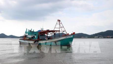 Kiên Giang kiểm tra chấp hành pháp luật trong khai thác thủy sản