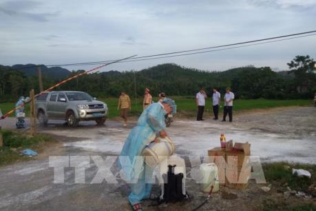 Cả nước có 60 tỉnh, thành phố xuất hiện dịch tả lợn châu Phi